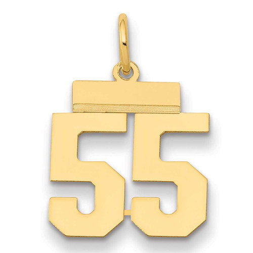 Image of 14K Yellow Gold Small Polished Number 55 Charm LS55