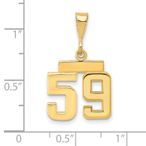 Image of 14K Yellow Gold Small Polished Number 59 Charm SP59