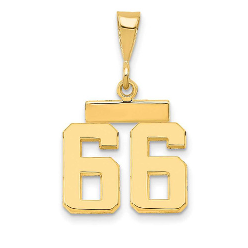 Image of 14K Yellow Gold Small Polished Number 66 Charm SP66