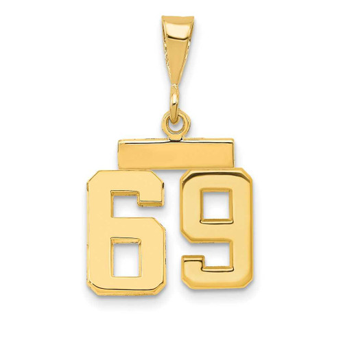 Image of 14K Yellow Gold Small Polished Number 69 Charm SP69