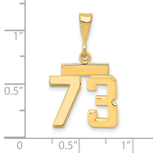 Image of 14K Yellow Gold Small Polished Number 73 Charm SP73