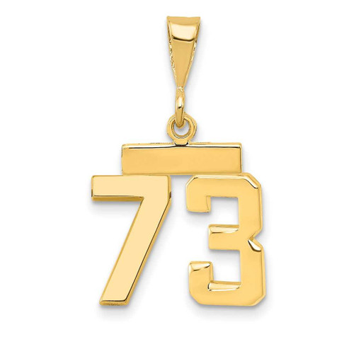 Image of 14K Yellow Gold Small Polished Number 73 Charm SP73