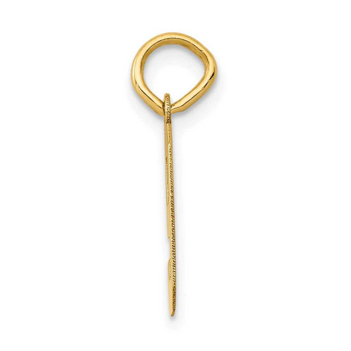 Image of 14K Yellow Gold Small Polished Number 9 Charm
