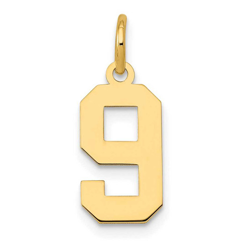 Image of 14K Yellow Gold Small Polished Number 9 Charm