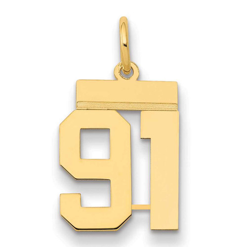 Image of 14K Yellow Gold Small Polished Number 91 Charm LS91