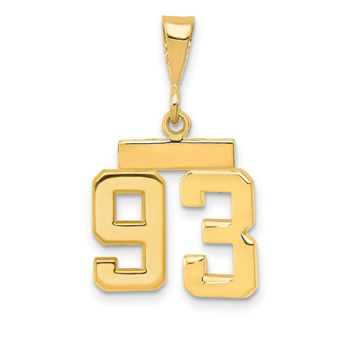 Image of 14K Yellow Gold Small Polished Number 93 Charm SP93