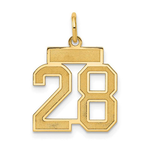 Image of 14K Yellow Gold Small Satin Number 28 Charm