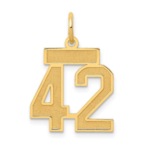Image of 14K Yellow Gold Small Satin Number 42 Charm