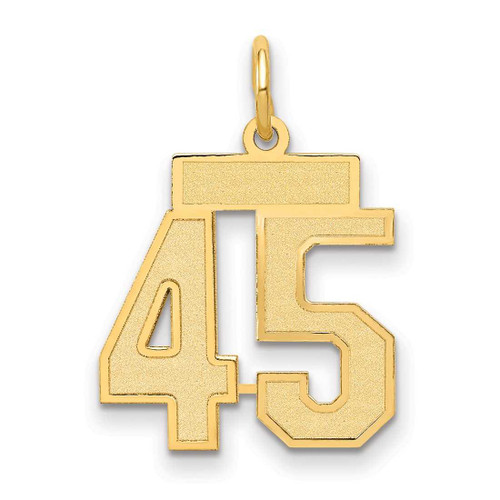 Image of 14K Yellow Gold Small Satin Number 45 Charm