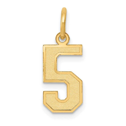 Image of 14K Yellow Gold Small Satin Number 5 Charm