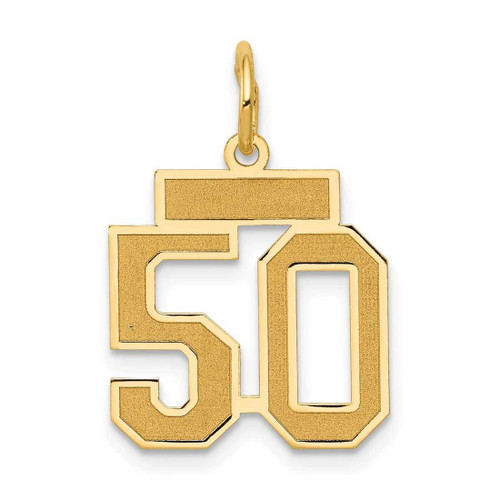 Image of 14K Yellow Gold Small Satin Number 50 Charm