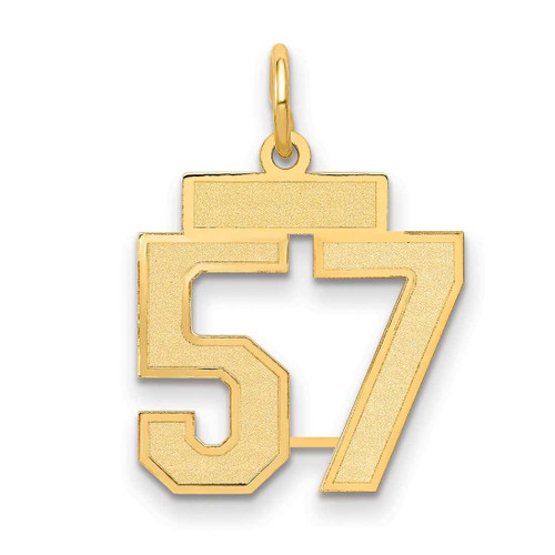 Image of 14K Yellow Gold Small Satin Number 57 Charm
