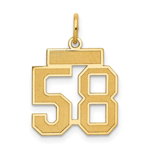 Image of 14K Yellow Gold Small Satin Number 58 Charm