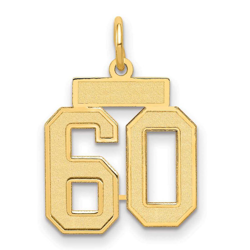 Image of 14K Yellow Gold Small Satin Number 60 Charm