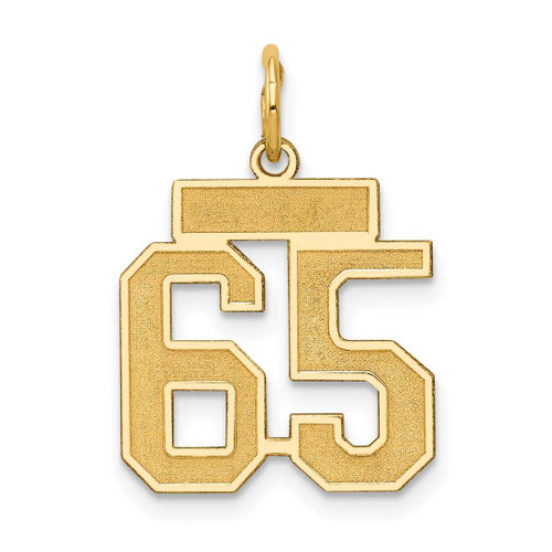 Image of 14K Yellow Gold Small Satin Number 65 Charm