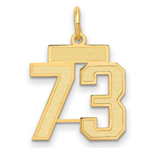 Image of 14K Yellow Gold Small Satin Number 73 Charm