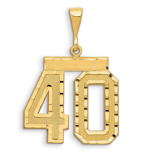 Image of 14K Yellow Gold Small Shiny-Cut Number 40 Charm