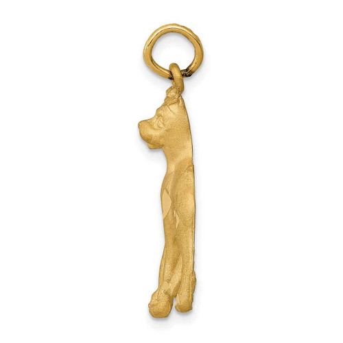 Image of 14K Yellow Gold Solid Polished Boxer Charm