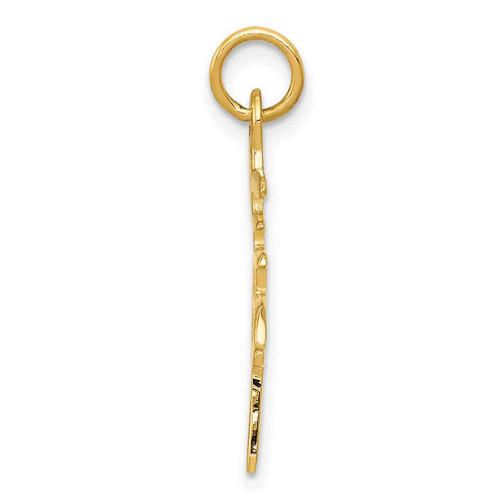 Image of 14K Yellow Gold Solid Polished Chinese Long Life Charm