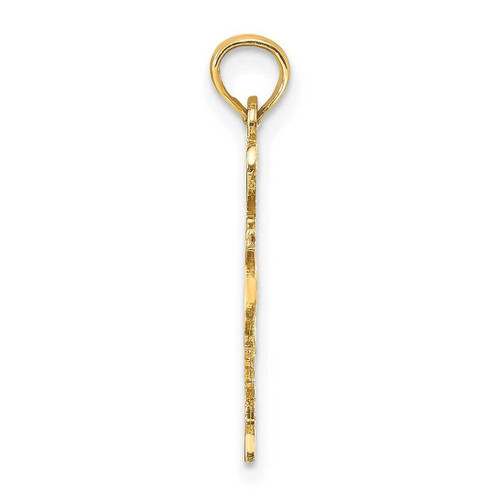 Image of 14K Yellow Gold Solid Texas State Pendant