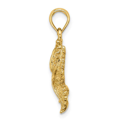 Image of 14K Yellow Gold Textured Starfish Pendant K8068