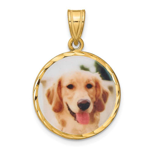 Image of 18" Gold-Plated Sterling Silver Personalized Photo Disc Necklace