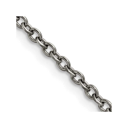 Image of 18" Titanium Polished 2.9mm Cable Chain Necklace