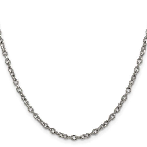 Image of 22" Titanium Polished 2.9mm Cable Chain Necklace