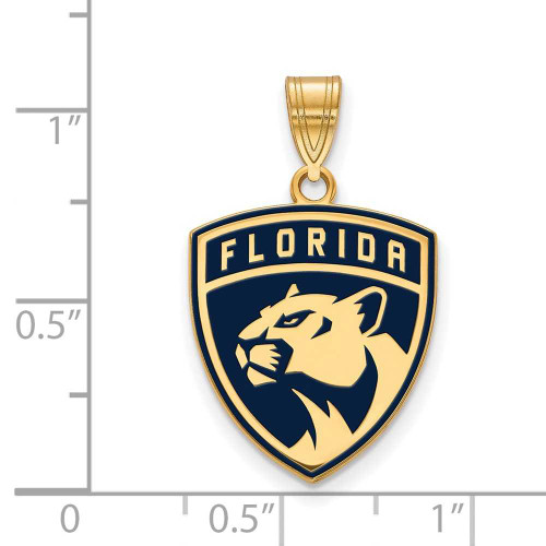 Image of Gold Plated Sterling Silver NHL Florida Panthers Large Enamel Pendant by LogoArt