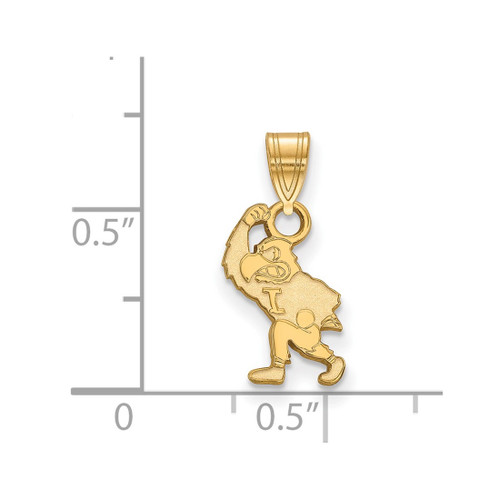 Gold Plated Sterling Silver University of Iowa Small Pendant by LogoArt GP076UIA