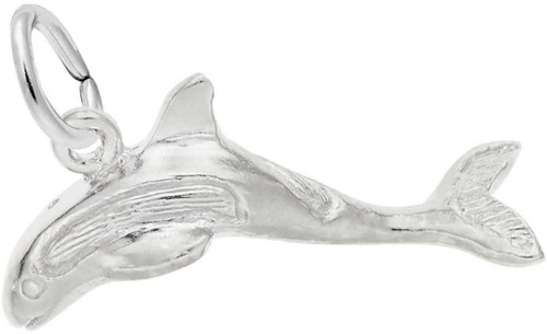 Image of Graceful Whale Charm (Choose Metal) by Rembrandt