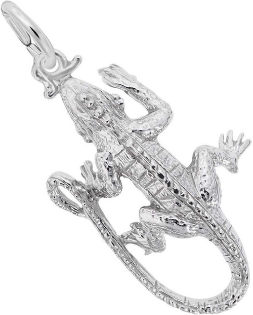 Image of Iguana Charm (Choose Metal) by Rembrandt