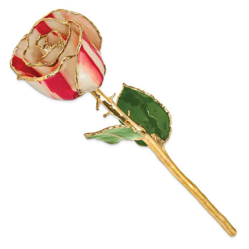 Image of Lacquer Dipped Gold-Tone Trim Peppermint Rose