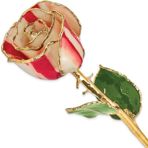 Image of Lacquer Dipped Gold-Tone Trim Peppermint Rose