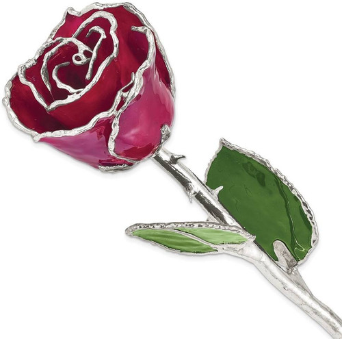 Lacquer Dipped Silver-Tone Trim Burgundy Rose