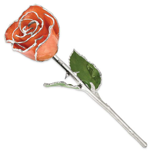 Image of Lacquer Dipped Silver-Tone Trim Orange Rose