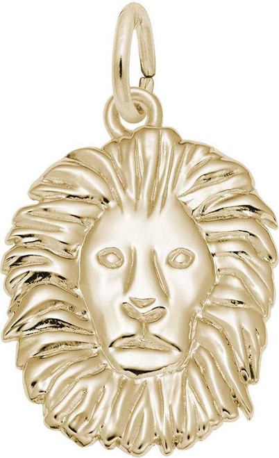 Image of Lion Head Charm (Choose Metal) by Rembrandt