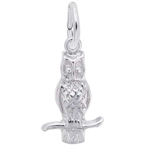 Image of Long Eared Owl Charm (Choose Metal) by Rembrandt