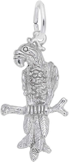 Image of Macaw Parrot Charm (Choose Metal) by Rembrandt