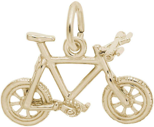 Image of Mountain Bike Charm (Choose Metal) by Rembrandt