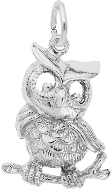 Image of Owl Charm (Choose Metal) by Rembrandt