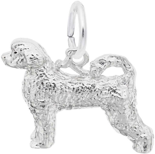 Image of Portuguese Water Dog Charm (Choose Metal) by Rembrandt