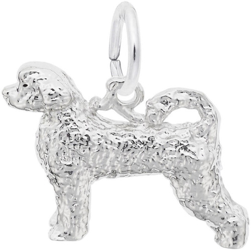 Portuguese Water Dog Charm (Choose Metal) by Rembrandt