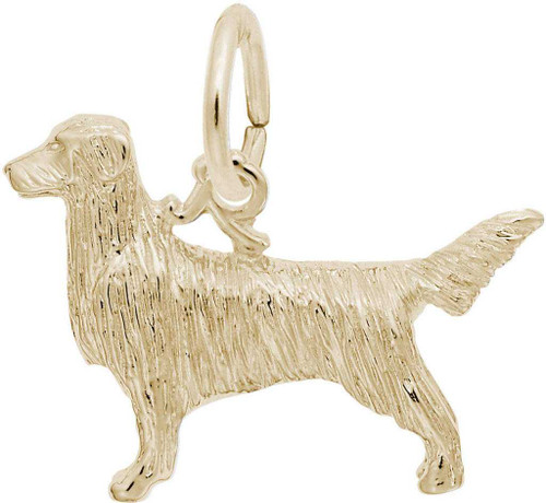 Image of Retriever Dog Charm (Choose Metal) by Rembrandt