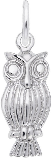 Screech Owl Charm (Choose Metal) by Rembrandt