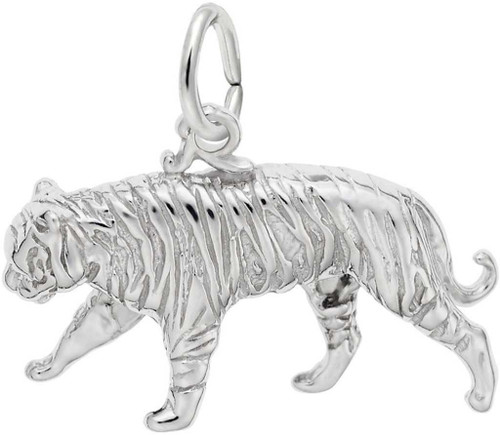 Image of Tiger Charm (Choose Metal) by Rembrandt