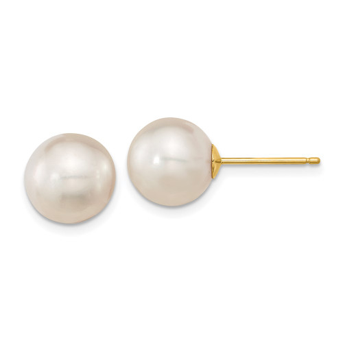 10-11mm 14K Yellow Gold 10-11mm White Round Saltwater Cultured South Sea Pearl Post Earrings