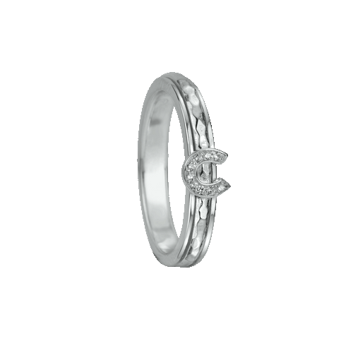 "CHARMED" - Stackable Collection - MeditationRing (Spinner Ring)