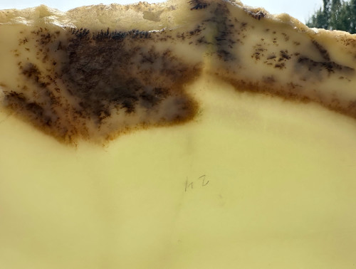 Natural Korean Jade Slab, 6.5"