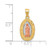Image of 10k Yellow & Rose Gold with Rhodium-Plating Lady of Guadalupe Oval Pendant